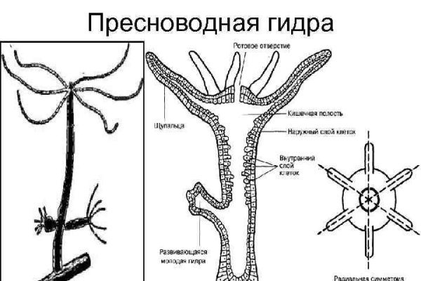 Кракен обход блокировки