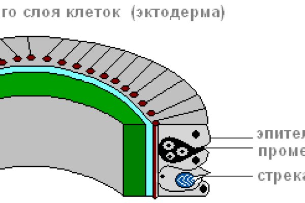 Кракен ссылка онлайн